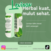 Levisav gigi kuat